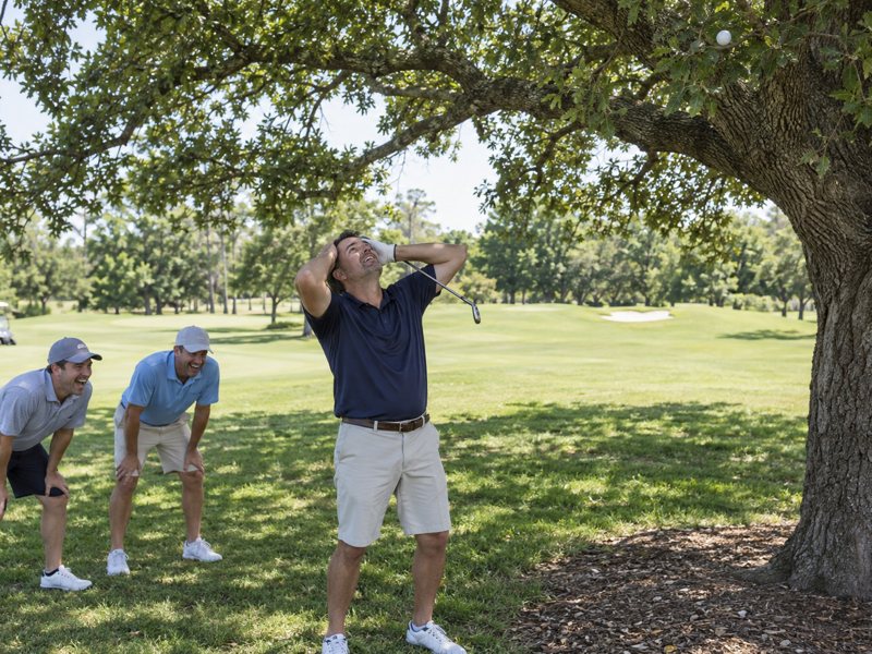 A golfer with his hands on his head looking up at his ball stuck in an oak tree